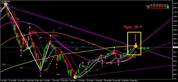 Khóa học đầu tư chứng khoán cho người mới bắt đầu